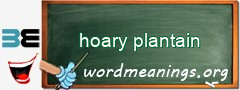 WordMeaning blackboard for hoary plantain